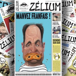 Quatrième de couverture, Zélium n°12, novembre-décembre 2012