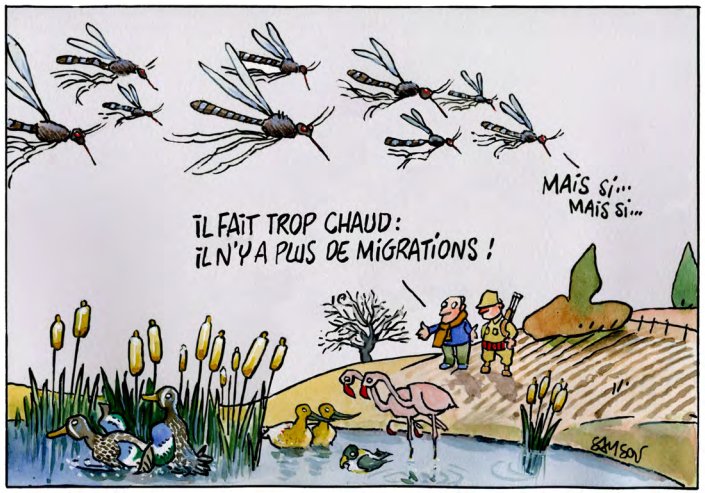 Capt_Migrations_moustiquues